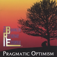 The Brooklyn Repertory Ensemble : Pragmatic Optimism