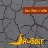 BROTHER MULE: Jawbone
