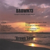 VARIOUS NEW ARTIST: BROWN73/BROWN SOUL