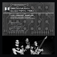 Brownman Electryc Trio : Live Concert Sampler