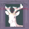 BRUCE FOULKE: Tales from the Brumby Home Volume 2 Christmas at the Brumby Home