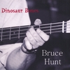 BRUCE HUNT: Dinosaur Bones