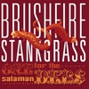 Brushfire Stankgrass: One For the Salamanders