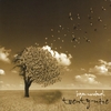 Bryan Murdaugh: Twenty-Nine