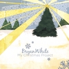 BRYAN WHITE: My Christmas Project
