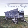 BRANDON SAMPSON: Brokenness is beautiful