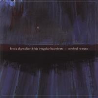Brock Skywalker & His Irregular Heartbeats : Cerebral Re-Runs