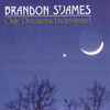 BRANDON ST. JAMES: Only Dreamers Understand