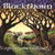 BLACKTHORN: Singing the Travels