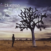 Bluetree : God Of This City