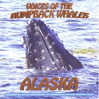 AMAZING FEEDING CALLS, VOICES, SOUNDS AND SONGS OF THE HUMPBACK WHALES OF GLACIER BAY: VOICES OF THE HUMPBACK WHALES ALASKA
