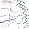 BUFFALO CREEK: Paint By Numbers