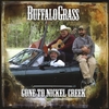 Buffalograss on CDBaby