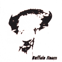 Buffalo Roam : The Gerry Record