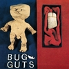 BUG GUTS: Great Spangled Fritillary