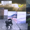 Building Pictures: Joey and the Moon