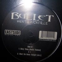 BULLET: WHEN THE REIGN FALLS/VINYL