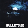 BULLETSIZE: Bulletsize