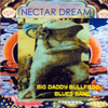BIG DADDY BULLFROG BLUES BAND: Nectar Dream