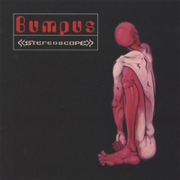 BUMPUS: Stereoscope