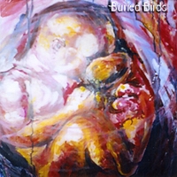 Buried Birds : Pink Lions