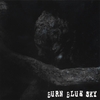 BURN BLUE SKY: Burn Blue Sky