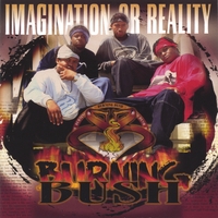 Burning Bush : Imagination or Reality