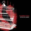 The Burning Effigies: Stuck In Limbo
