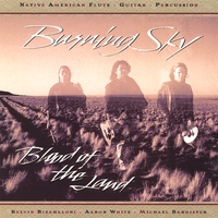 Burning Sky : Blood Of The Land