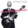 BURNSHEE THORNSIDE: The Art Of Not Blending In