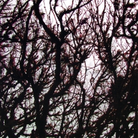 BURNT FUR: Unfurl