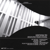 BURNTSIENNA TRIO: Gregor-jotace Mission Cathedral