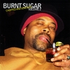 BURNT SUGAR THE ARKESTRA CHAMBER: Chopped and Screwed Volume 2