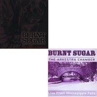 Burnt Sugar the Arkestra Chamber : Making Love to the Dark Ages