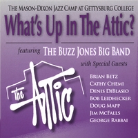 The Buzz Jones Big Band : What's Up In The Attic