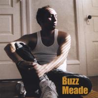Buzz Meade : Reflect the Light