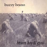 Buzzy Beano : Between Hay & Grass