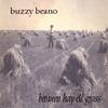Buzzy Beano on CDBaby