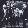 THE BLUE WATUSIS: Chicago The Blues Today