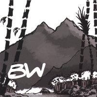 BW: Upflow