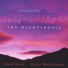 BENJY WERTHEIMER AND STEVE GORN: Priyagitah: The Nightingale