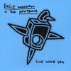 BRICE WOODALL & THE POSITRONS: Sine Wave Sea