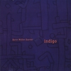 BYRON WALLEN: Indigo