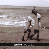 Cadabra : Wave/Action