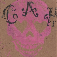 Cary Ann  Hearst : Dust and Bones