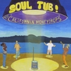 THE CALIFORNIA HONEYDROPS: Soul Tub!