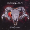 CAINSALT: Amalgamate