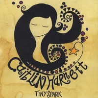 Caitlin Harnett : Tiny Spark