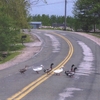 CALEB MILES: Brickyard Road