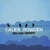 CALEB ROWDEN: Free From Ordinary